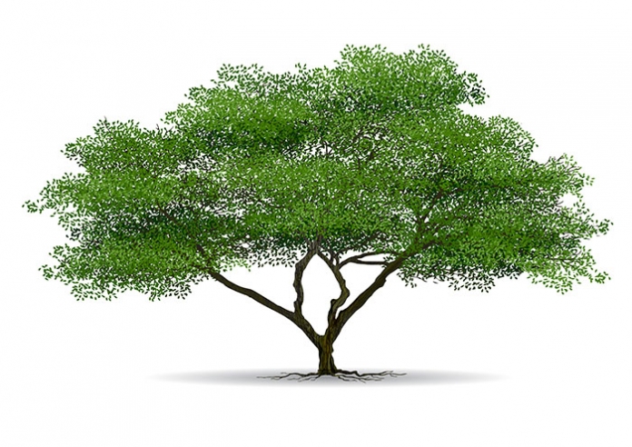 Der Baum der Gesundheit welovefamily.at